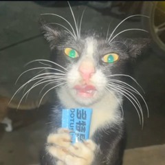 anonigato
