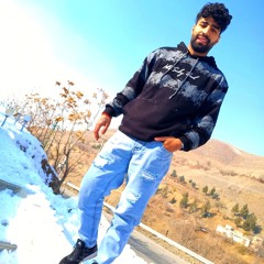 Amir 1214