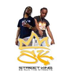 Street King Sound 876