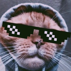 TheThugCat