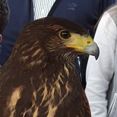 Zarko79