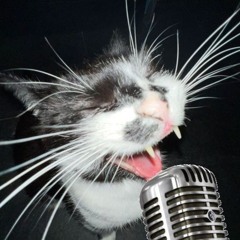 ⭐ 𝖕𝖛𝖈𝖟𝖔 ⭐