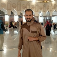 علاء مصطفى عوض
