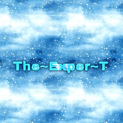 The-Exper-T