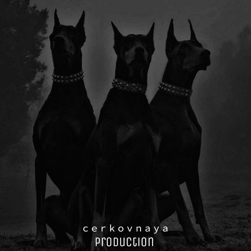 CERKOVNAYA’s avatar