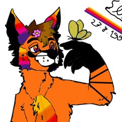 SLYFOX.