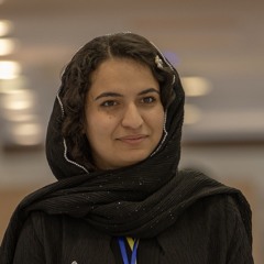 Fatemeh Hosseinzadeh