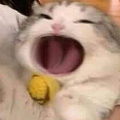 Như Ýy