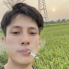 Toan Nguyenduc