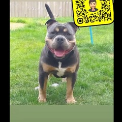 User 132118411