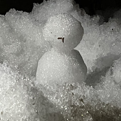 りょうが