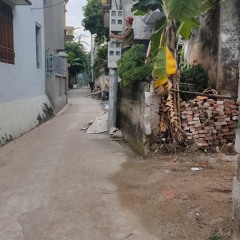 Nguyễn Đức Trung