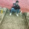 juju Frm the cam