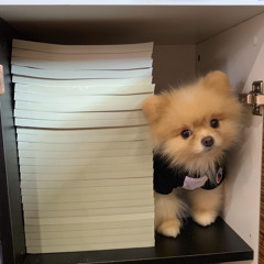 Beer Sirisawat Asawacharn