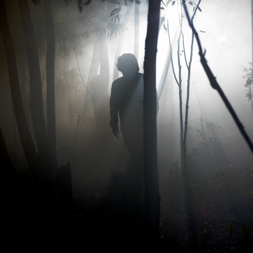 trustme — artist photo
