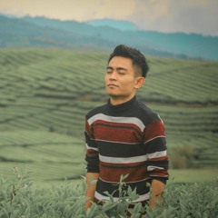 Nogi Tri Polta