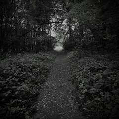 memories of b a s a v r i u k