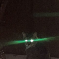 Engineered By Nexxus