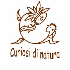 Curiosidinatura