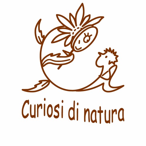 Curiosidinatura’s avatar