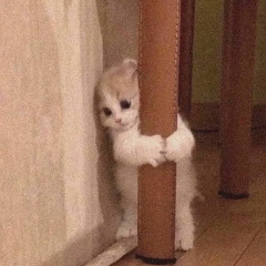 혬잉
