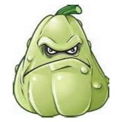 squash