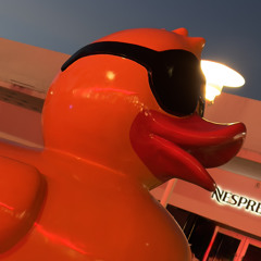 HaZe N DaBrain MuZik