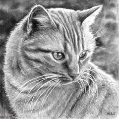 Carol-Alida