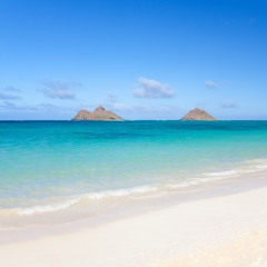 Beach Fabulous