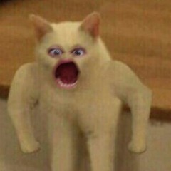 Cattus rufus