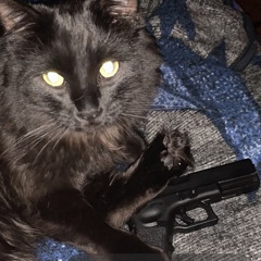 Ø$