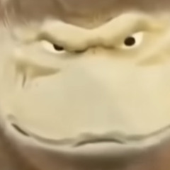 Yeet