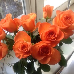 inquisitive daughter