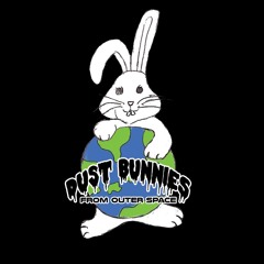 DustBunniesFromOuterSpace
