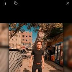 الديزل الحاكم