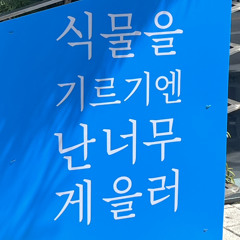 호마탕