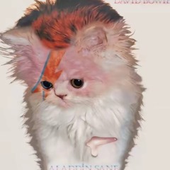 NiCePatrik