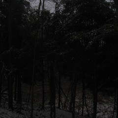 widoww