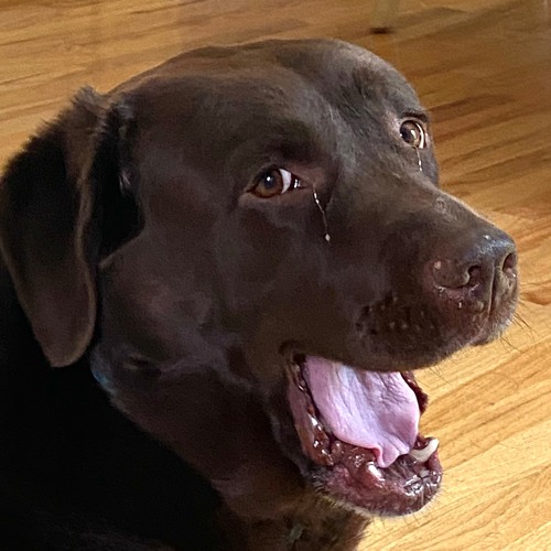 I got a new audio interface! (Sunny Day by Jay Chou)