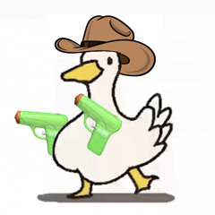 DuckDuel