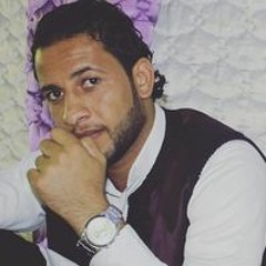 Hady El Fardy