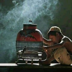Omar safwat
