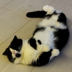 Liva :3