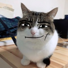 MrClosets