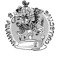 fruivita_collective
