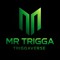 Mr Trigga