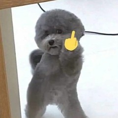 trăng trong nước...?