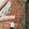 tae_p@