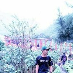 WAhyu Xc
