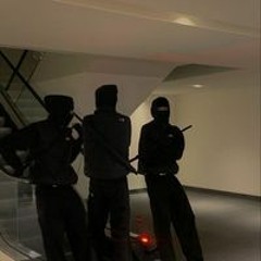 Лютая Бравлстарсерша